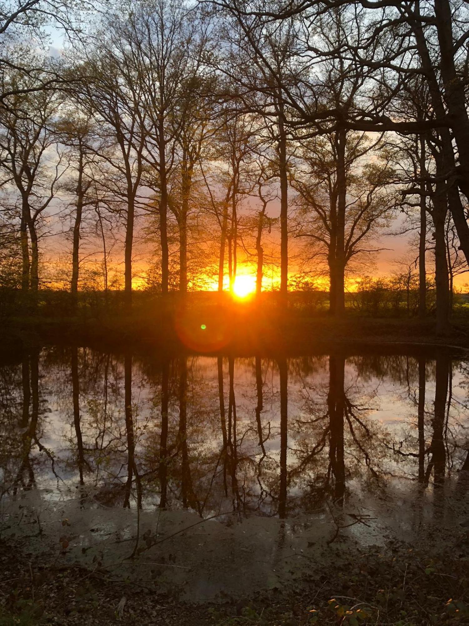 Rouge Maison Bois-Normand-près-Lyre Dış mekan fotoğraf